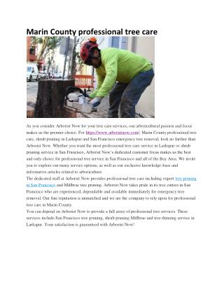 Marin County professional tree care 