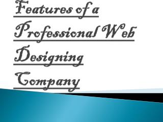 Working of Professional Web Designing Company