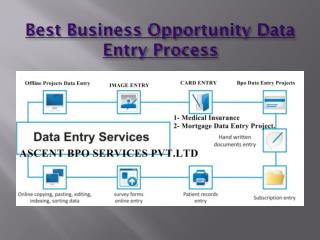 Best Business Opportunity outsourcing data entry projects
