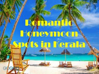 Check Out The Amazing Locations in Kerala that you can visit with your Better Half