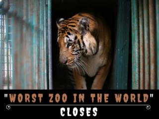 "Worst zoo in the world" closes
