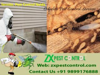 Termite, Pest Control Noida Call 9899176888