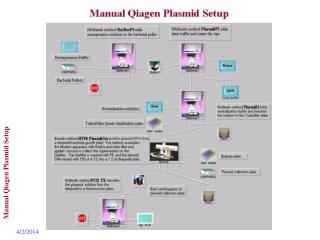 Manual Qiagen Plasmid Setup