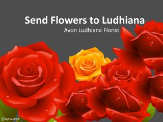 Send Flowers to Ludhiana