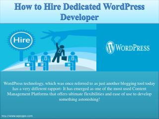 Explore how to hire dedicated wordpress developer