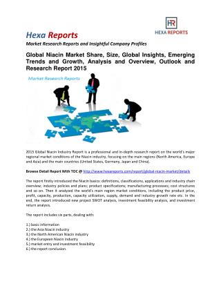 Niacin Market Share, Size, Overview, Outlook and Research Report 2015