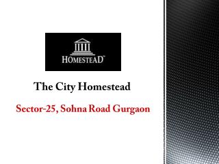 The City of Homestead Sector 25 Sohna Road Gurgaon – Investors Clinic