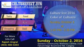 Cultural Festival 2016