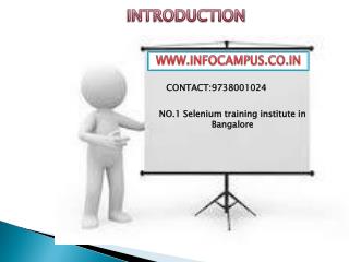 Selenium training institutes in Bangalore