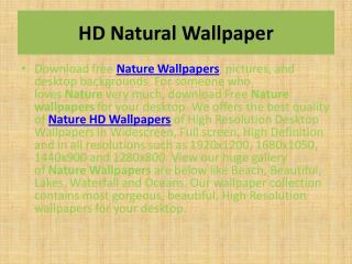 Nature Wallpapers | Nature HD Wallpapers