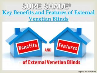 Key Benefits and Features of External Venetian Blinds