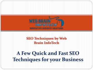 A Few Quick and Fast SEO Techniques for your Business