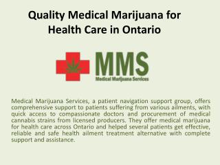 Medical Marijuana for Health Care in Ontario