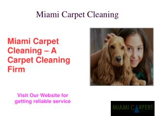 Miami Carpet Cleaning