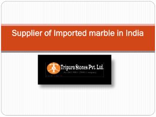 Supplier of Imported marble in India
