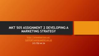 MKT 505 ASSIGNMENT 2 DEVELOPING A MARKETING STRATEGY