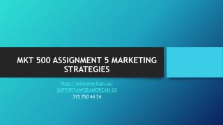 MKT 500 ASSIGNMENT 5 MARKETING STRATEGIES