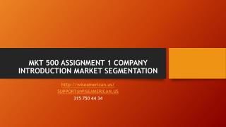 MKT 500 ASSIGNMENT 1 COMPANY INTRODUCTION MARKET SEGMENTATION