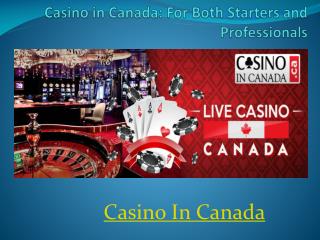 Casino in Canada: For Both Starters and Professionals