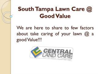 Affordable and Professional South Tampa Lawn care-maintenance Services