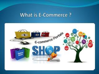 e commerce development company in delhi