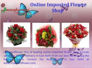 Allium wholesale flowers in east delhi