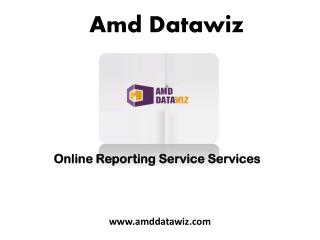 Online Reporting Service