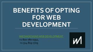 Benefits opting for Web Development