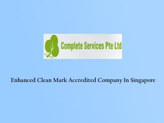 Cleaning service