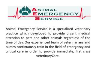Veterinary Surgery – AES