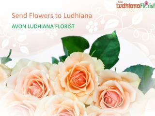 Send Flowers to Ludhiana