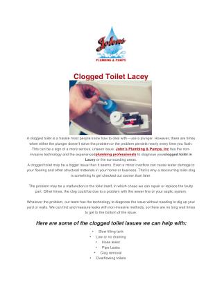 Clogged Toilet Lacey