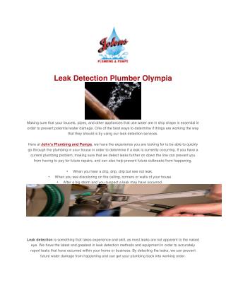 Leak Detection Plumber Olympia