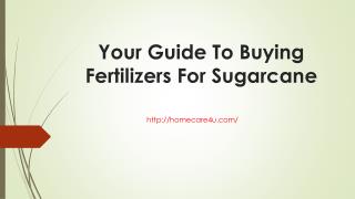 Your Guide To Buying Fertilizers For Sugarcane