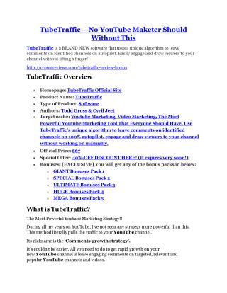 TubeTraffic review in particular - TubeTraffic bonus