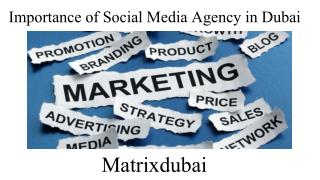 Importance of Social Media Agency in Dubai