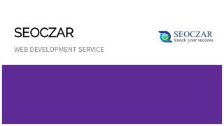 Web Development Service in NCR|Best Website Development in NCR | SEOCZAR