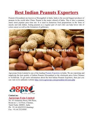 Best Indian Peanuts Exporters