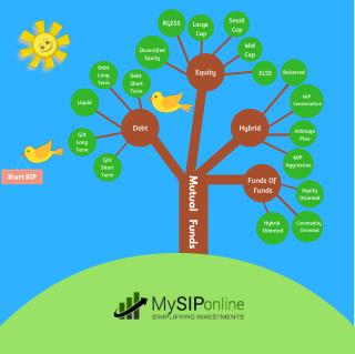 Invest in Best Categories of Mutual Fund