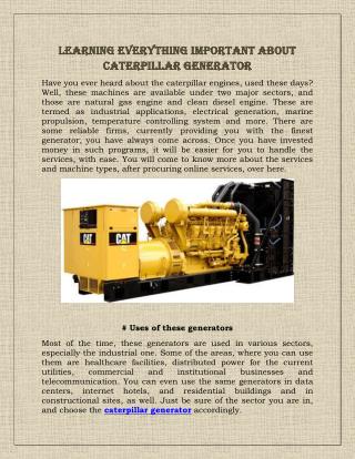 Learning Everything Important About Caterpillar Generator