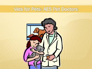 Veterinary Clinic Brisbane- Dogs Care