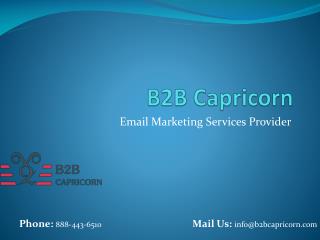 Email Marketing Services Provider - B2B Capricorn