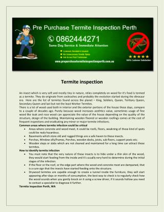 Pre Purchase Termite Inspection Perth