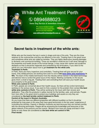 White Ant Treatment Perth