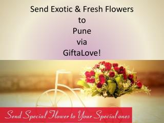 Send Exotic & Fresh Flowers to Pune via GiftaLove!