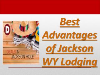 Best Advantages of Jackson WY Lodging