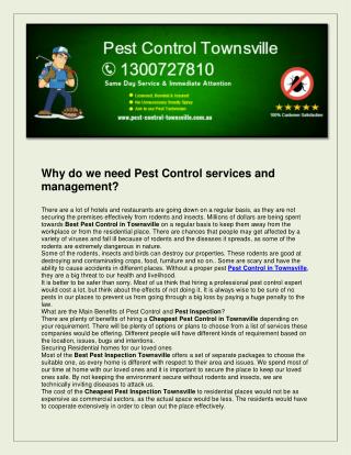 Pest Control Townsville