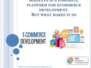 Magento is a powerful platform for ecommerce development. But what makes it so?