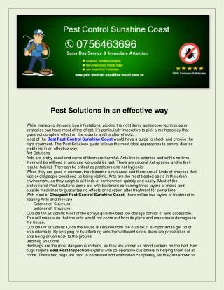 Pest control sunshine coast