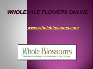 Wholesale Flowers Online - www.wholeblossoms.com